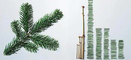 整理收纳的魔法世界2