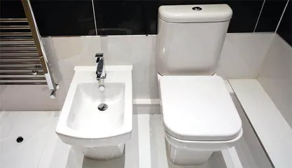 智能马桶能拿下美国人吗？1