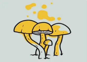 你不可错过的医疗突破!2