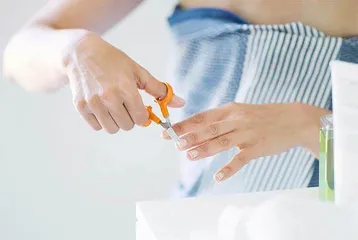 菲斯卡:做全世界最好的剪刀2