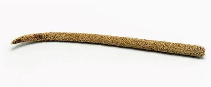 珍珠粟2