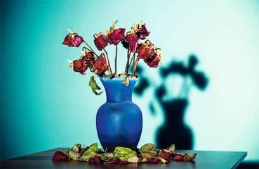 身陷“浪漫骗局”的老年人3