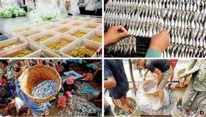 柬埔寨“臭鱼”:我不是黑暗料理1