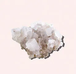 佐剂与新冠疫苗