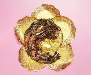 当“入侵者”成为盘中餐3