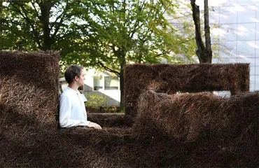 用外来入侵植物设计未来生活7