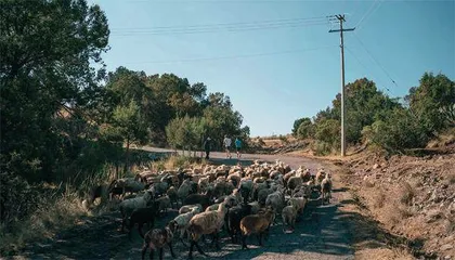 穿越墨西哥:一场5000公里的长跑2
