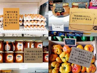 法国另类超市:我们拒绝浪费3