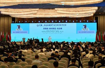 阿拉伯智库在关注哪些涉华议题