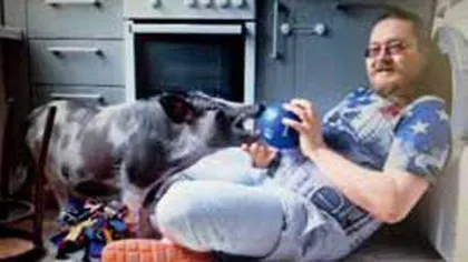 养另类萌宠是怎样一种体验?7