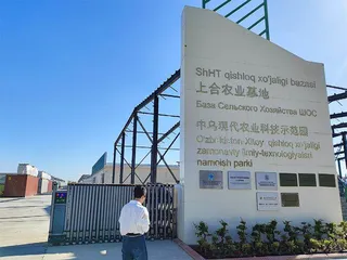 实地调研中国中亚经贸合作带来的思考
