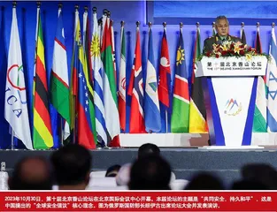 国际秩序变化与中国作用：方向与路径之争