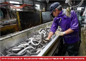 信任的崩塌?日本制造业神话的破灭1