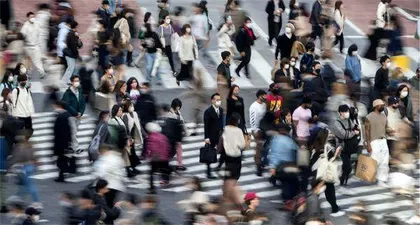不合理的游戏社会：日本低欲望社会的新进化