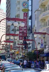 石破茂祭奠藤森的背后:日本与南美的不解之缘1