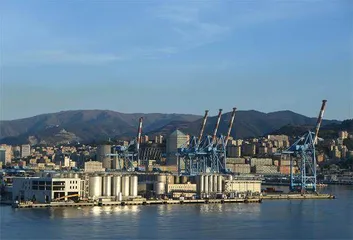 维护中意务实合作大局意义深远