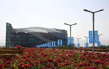 中阿博览会：相伴“一带一路”十周年