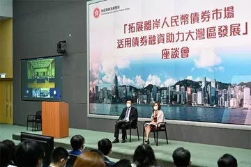 发展离岸人民币市场,推进人民币国际化1