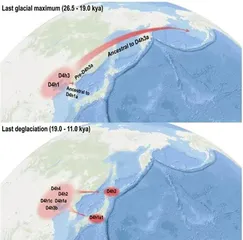 新研究发现美洲人部分祖先来自中国北部沿海
