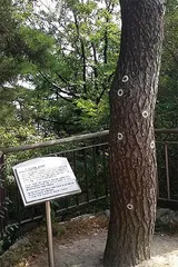 见证韩国权力的象征:走进青瓦台5