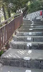 见证韩国权力的象征:走进青瓦台6