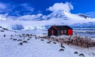 中国发布世界首幅1∶250万月球全月地质图4