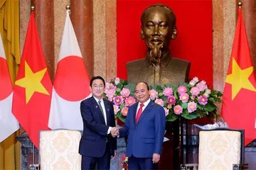 越南欲打造何种“竹式外交”新格局1