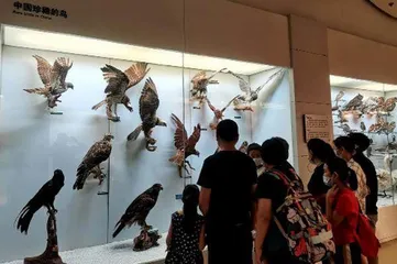 全球生物多样性保护:进展、挑战与中国担当1