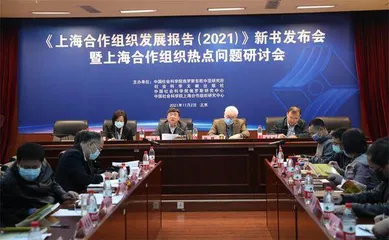中国社科院-俄罗斯远东联邦大学中国研究中心举办线上国际研讨会“‘印太战略’背景下的中俄战略协作”1