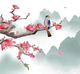国潮养生何以遍地开花1