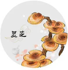 中医帮你解开肥胖“密码”