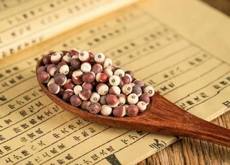 “入春第一米” 补肾又健脾