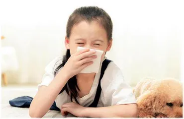 过敏，是谁惹的祸