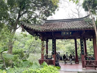 林则徐:时代危局中的清官样本(中)1