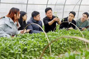 入编后,是“躺平”还是“内卷”?0