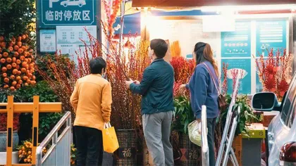 小城圈子,年轻人的围城还是堡垒?1