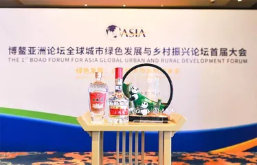 五粮液“香”遇博鳌绿色发展大会：弘扬和美文化 点亮绿色未来