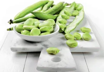 吃蚕豆为什么会贫血