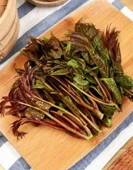 春季食养遵循三原则1