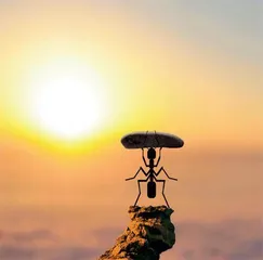 天下资讯2