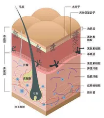轻松美白 从底层逻辑入手1