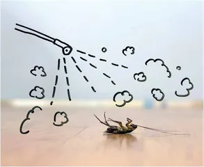 杀虫剂DDT:从宠儿到弃儿1