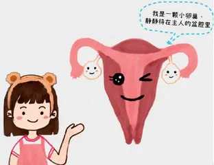 小女生也会卵巢扭转？