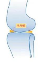 “半月”伴你行 且行且珍惜