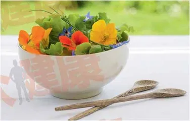 春天花会开，尝鲜动起来