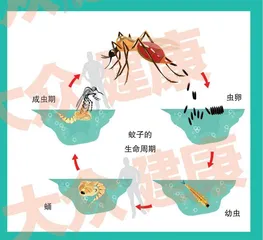 消除疟疾“了不起的壮举”3