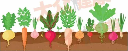 炎症性肠病患者咋吃?有门道1