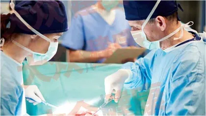 动物器官移植，“路障”在哪里