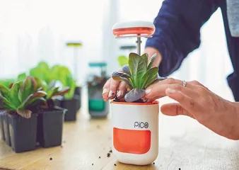 颈椎记忆枕1