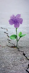 40岁的他，“逆转”了糖尿病